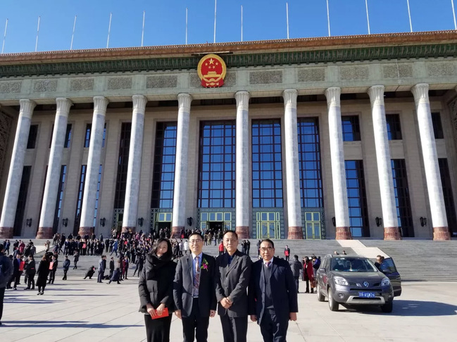 电气工程学部焕新而来,开启能源电力创新新征程 电气工程学部焕新而来,开启能源电力创新新征程